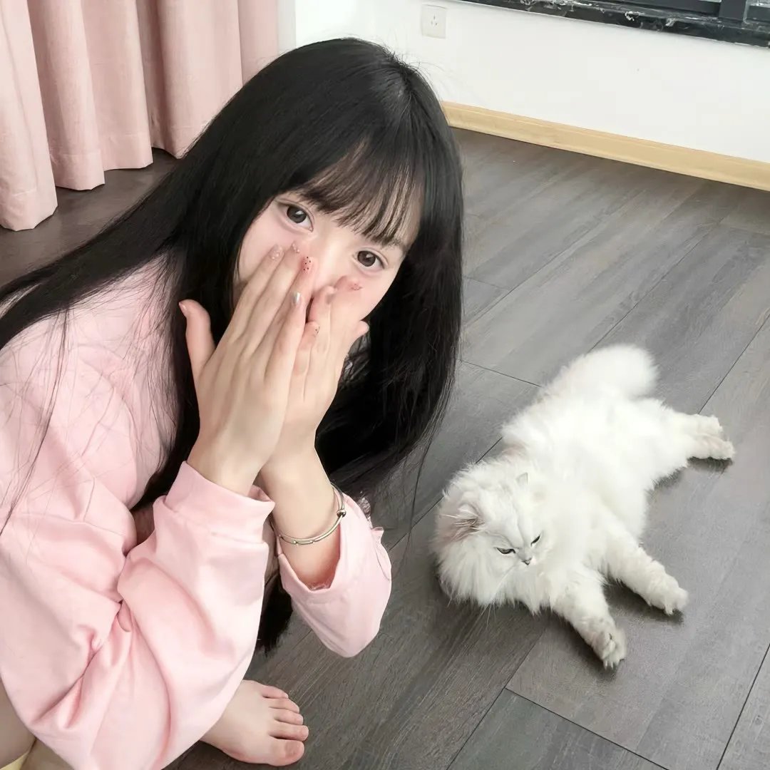 春满花都
